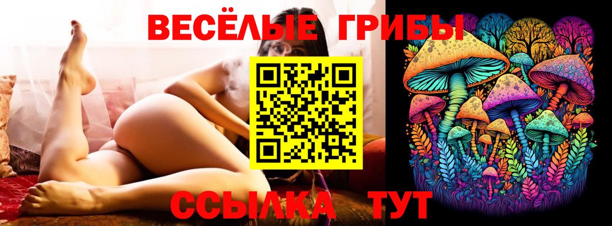 Галлюциногенные грибы мицелий Гусев